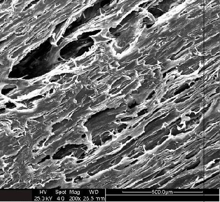 Orbi-Tech Specials Lay-Fomm 60 2.85mm 250g